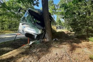 U Třeboně havaroval autobus. Na místě jsou i zraněné děti - Novinky